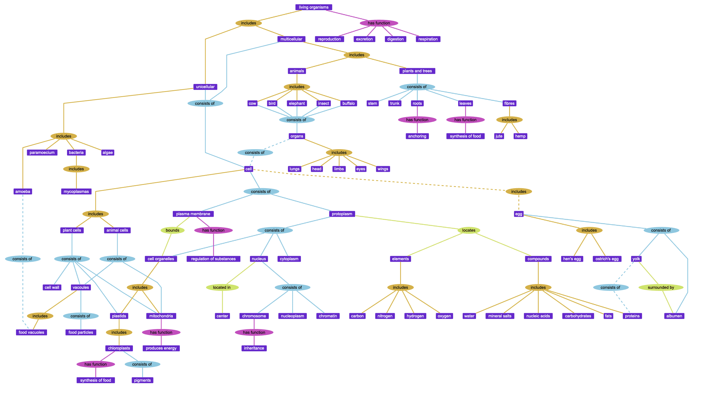 An example of a graph structure presenting data in a hierarchical layout.