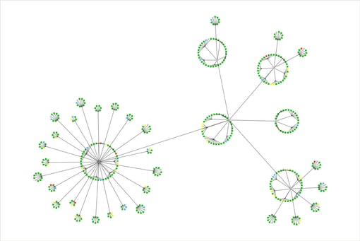 A graph visualization of a network of transactions produced with Tom Sawyer Perspectives