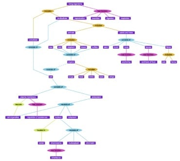 A hierarchical graph layout of an ontology produced with Tom Sawyer Perspectives.
