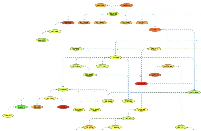 A portion of a graph after a query has been applied