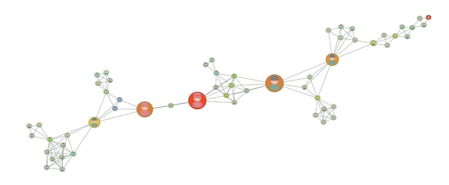 A graph of a criminal network with analysis applied