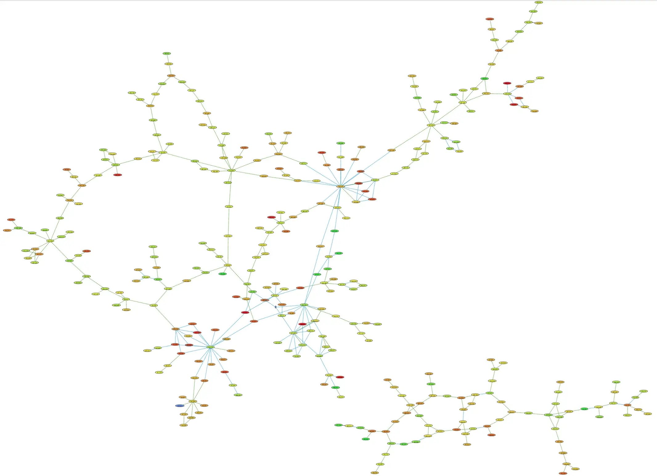 A large graph visualization showing the overall structure of a network produced with Tom Sawyer Software Perspectives