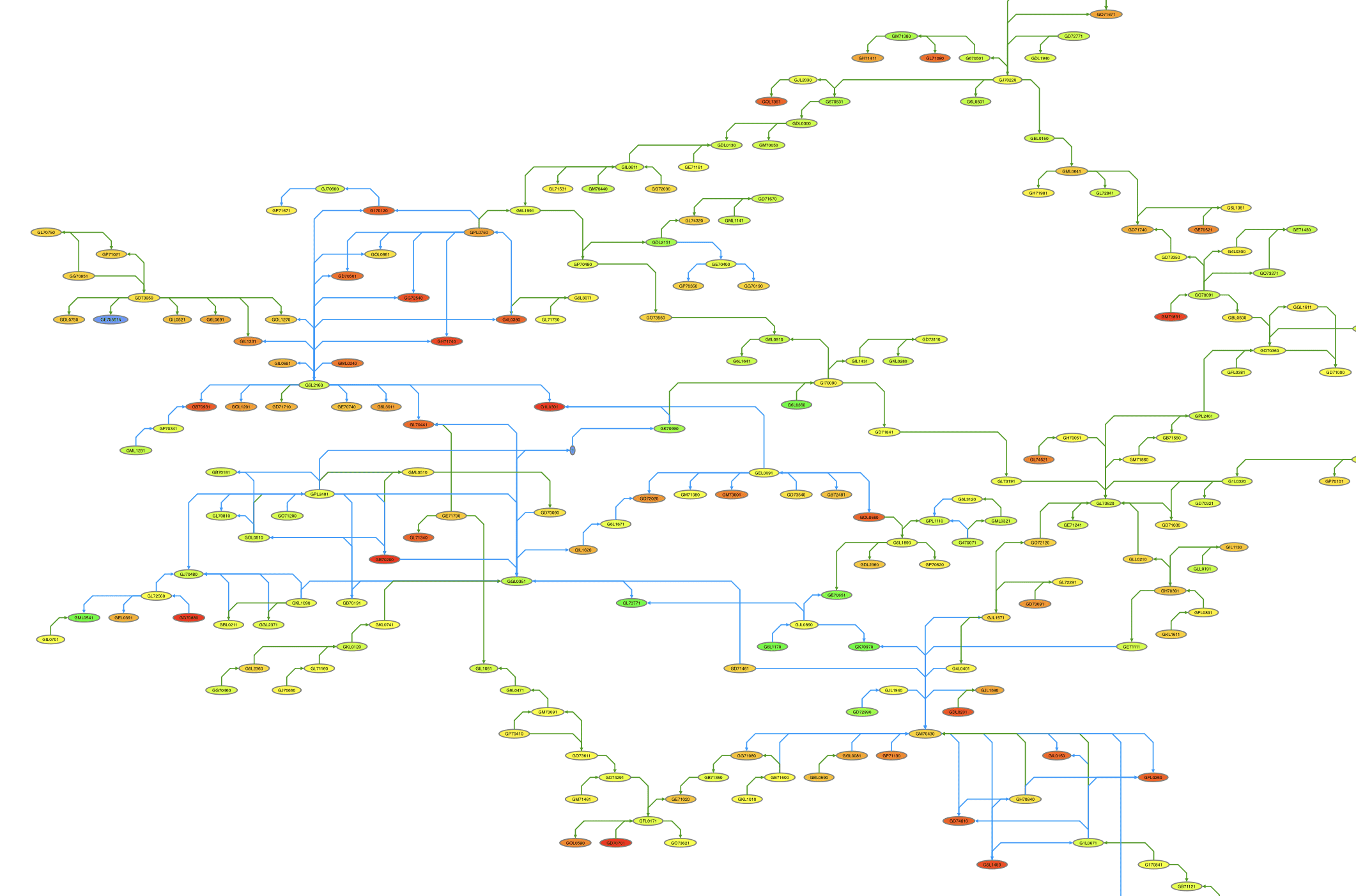 A bundle layout graph visualization of different gene expressions and their relationships.