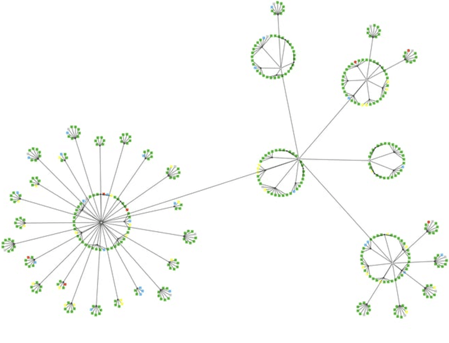 An example circular graph layout that highlights groups of nodes and symmetries.