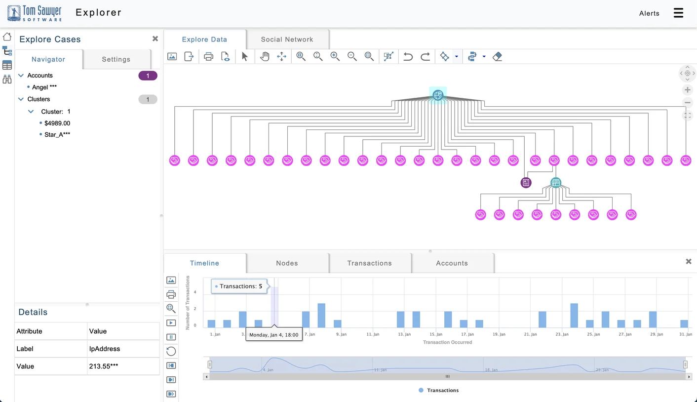 Graph visualization and timeline of suspicious transactions.